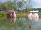 IndyCar – Welcome to Barber Motorsports Park