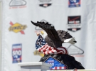 2014-Pocono_215_IndyCar