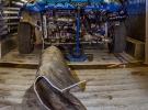 Skid Plate